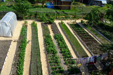 Uzun yataklar, geniş çizgiler ve bahçede bir sera. Yan kuruluş komplosu. Yukarıdan görünüşü.