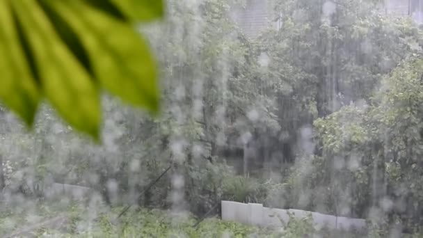 窓の外の雨。雨の音。豪雨が通りに降り注ぎ、窓からの眺め. — ストック動画