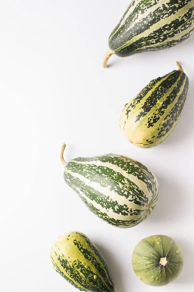 Pumpkins and squash different vegetables on white background fla