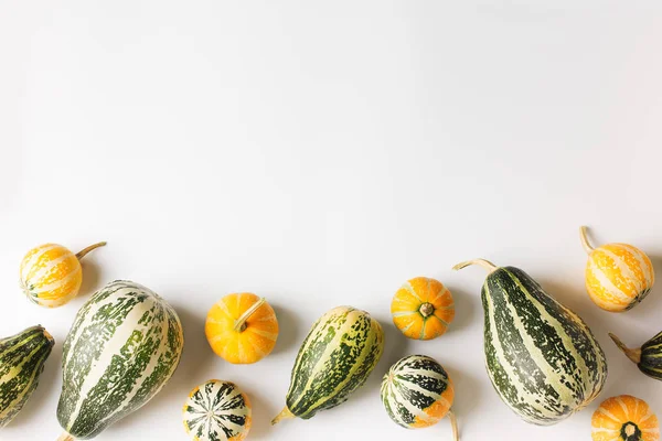 Pumpkins and squash different vegetables on white background fla