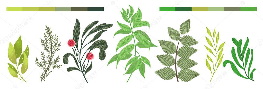 Green forest leaves herbs branches tropical greenery vector elements set natural foliage. Decorative botanical vector design illustration