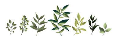 Yeşil yaprak bitki orman otlar tropikal koleksiyonu bahar flora suluboya tarzında bırakır. Düğün davetiye kartı için botanik dekoratif illüstrasyon vektör