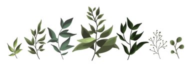 Yeşil yaprak bitki orman otlar tropikal koleksiyonu bahar flora suluboya tarzında bırakır. Düğün davetiye kartı için botanik dekoratif illüstrasyon vektör