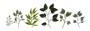 Yeşil yaprak bitki orman otlar tropikal koleksiyonu bahar flora suluboya tarzında bırakır. Düğün davetiye kartı için botanik dekoratif illüstrasyon vektör