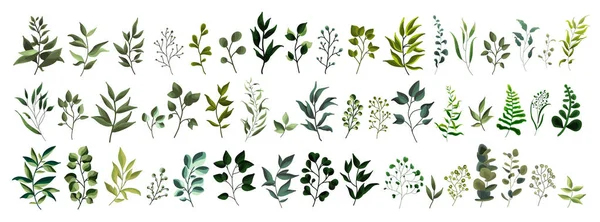 緑葉植物フォレスト ハーブ熱帯のコレクションは 水彩風の春植物を残します 結婚式の招待カードのベクトル植物装飾的なイラスト — ストックベクタ