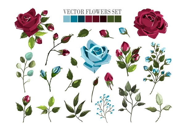 Set van bordo Bourgondië en marineblauw rose bloemen en groene bladeren — Stockvector