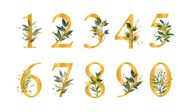 Χρυσές φλοράλ αριθμοί με πράσινα φύλλα και χρυσές σύριγγες απομονωμένες — Διανυσματικό Αρχείο