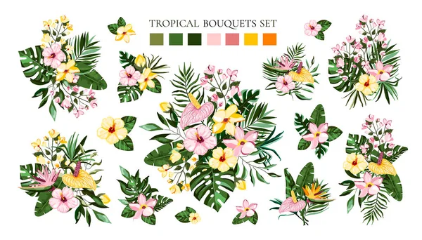 Set van tropische exotische bloemen boeketten met Frangipani Hibiscus Calla groene Monstera Palm — Stockvector