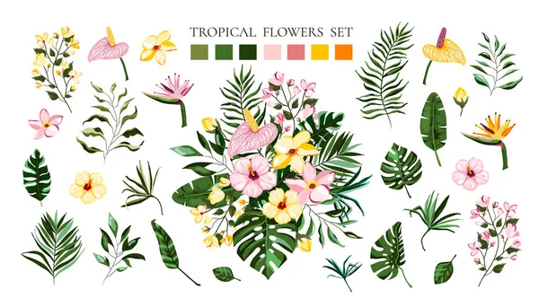 Conjunto de flores exóticas tropicales frangipani hibiscus calla verde monstera hojas de palma — Archivo Imágenes Vectoriales