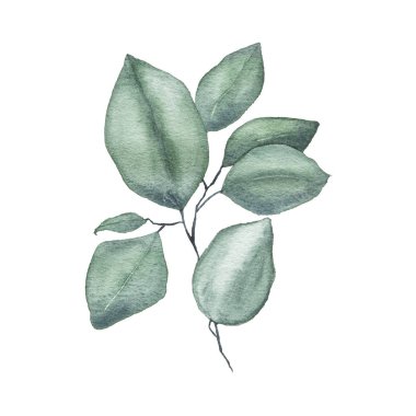 Suluboya tropikal yeşillik çiçek yaprak bitki orman bitki bahar