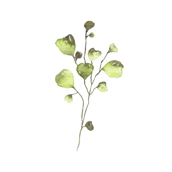 Aquarel tropisch groen Floral blad plant forest kruid lente — Stockfoto