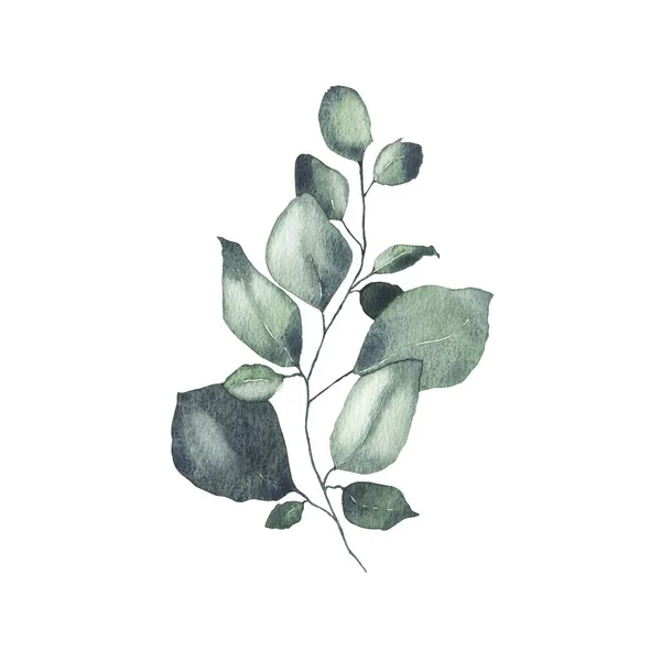 Akvarel tropická zeleň Květnatý listí lesní byliny pramen — Stock fotografie