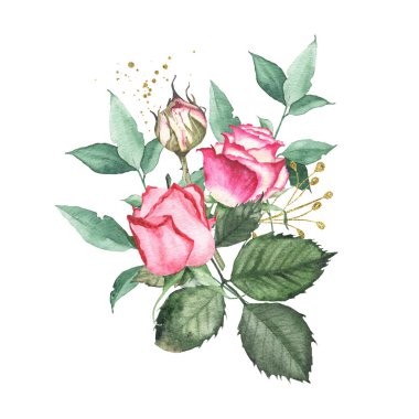 Pembe kırmızı gül tomurcuk çiçek yeşil yaprakları ile suluboya buket düzenleme