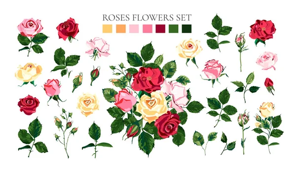 Set van bleke roze rood gele rozen bloemen toppen en groene bladeren — Stockvector