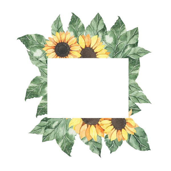 Watercolor summer frame with sunflowers bouquet with green leaves isolated. Floral spring autumn geometric frame blossom boho illustration wedding invitation save the date card