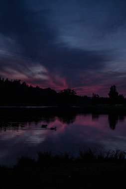 Göl ve orman üzerinde güzel pembe günbatımı! Arka plan.