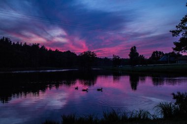 Göl ve orman üzerinde güzel pembe günbatımı! Arka plan.
