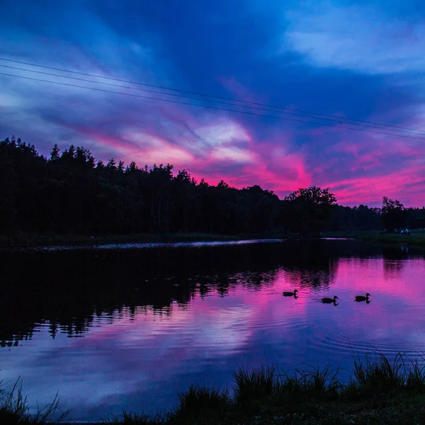 Göl ve orman üzerinde güzel pembe günbatımı! Arka plan.