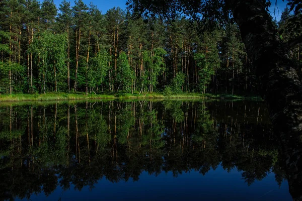Δάσος Είναι Αντικατοπτρίζεται Στη Γαλάζια Λίμνη Φόντο — Φωτογραφία Αρχείου