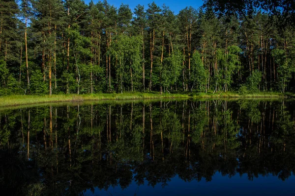 Δάσος Είναι Αντικατοπτρίζεται Στη Γαλάζια Λίμνη Φόντο — Φωτογραφία Αρχείου