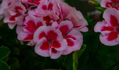 Dokuma saksının içinde güzel parlak çiçekler.