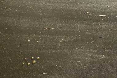 Marsh su yakın çekim. Film su. Doku. Arka plan. Makro.