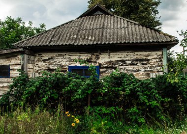 Çok eski bir ev çim ile büyümüş,.