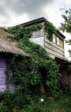 Güzel eski balkon Ivy ile büyümüş. Çok eski bir ev.