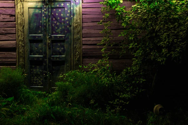 Чарівні Казкові Дерев Яні Двері Казковий Двір Вночі — стокове фото