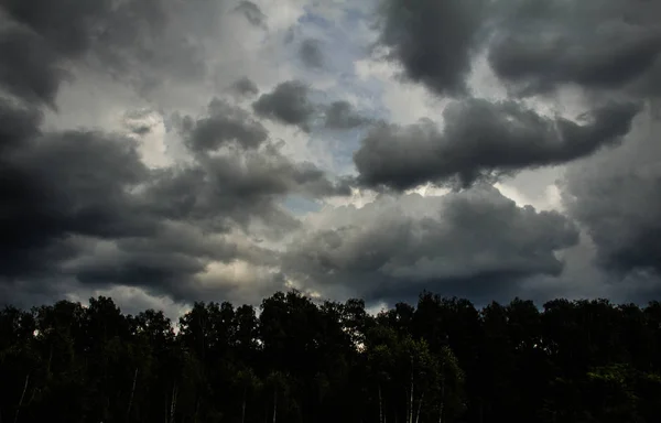 Paisagem Floresta Fundo Céu Tempestuoso — Fotografia de Stock