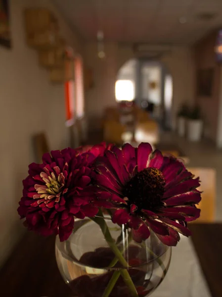 Blumen Einem Glas Der Bar Schöne Landschaft — Stockfoto