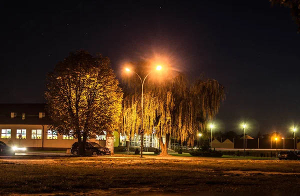 Gyönyörű Éjszaka Táj Nyílik Tóra Vízben Visszavert Fény — Stock Fotó