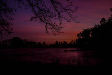Gün batımında güzel bir manzara. Göl, orman.