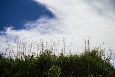 Mavi gökyüzünde bulutlar. Arkaplan, doku.