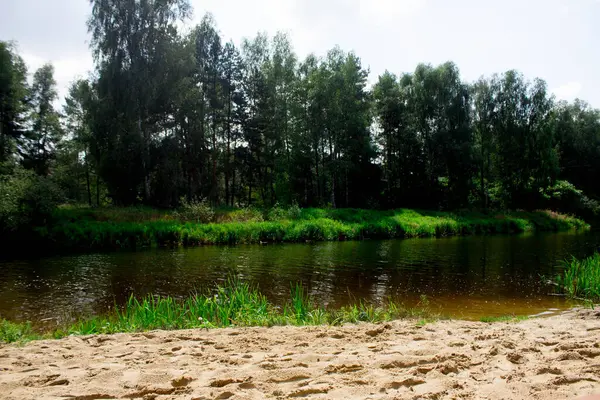 Rivieroever Zand Strand Prachtig Landschap Rivieroever Achtergrond — Stockfoto