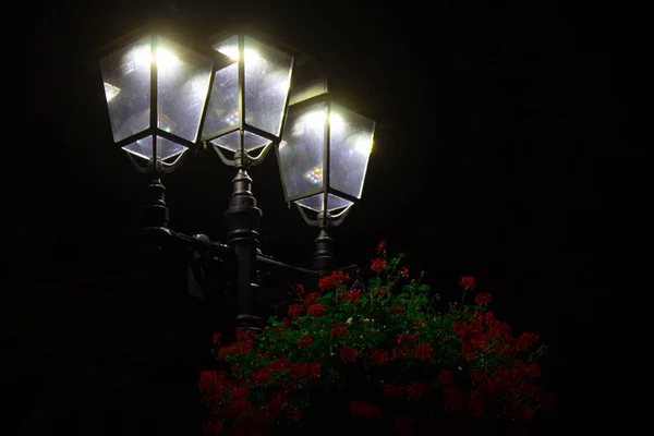 Lanternas Noite Belas Luzes Noturnas Fundo Preto Contexto — Fotografia de Stock