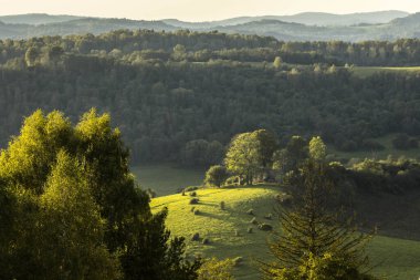 Dağlardaki manzara ormanı. Dağlardaki açıklık. Yaz. Geçmişi. Doku.