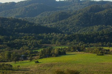 Dağlardaki manzara ormanı. Dağlardaki açıklık. Yaz. Geçmişi. Doku.
