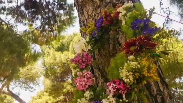 Corona Flores Colgando Árbol Mayo Día Del Trabajo Grecia — Vídeos de Stock