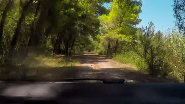 自然湖カイアファ ギリシャ ペロポネソス半島の側で運転 — ストック動画