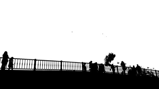 黑色和白色的复古人们穿越希腊特里卡拉大桥 旅游目的地 — 图库视频影像