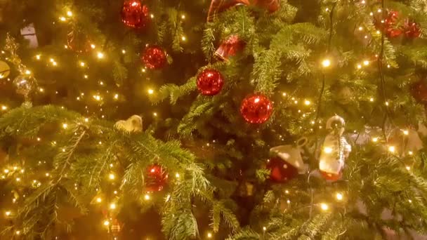 Lang Versierde Kerstboom — Stockvideo