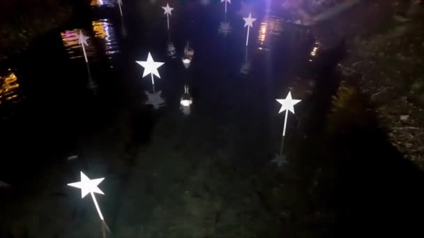 Πάπιες Και Παπάκια Κολυμπούν Μια Λίμνη Διακοσμημένη Χριστουγεννιάτικα Αστέρια Ένα — Αρχείο Βίντεο
