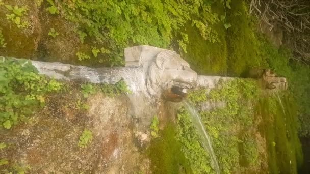 Lion Head Fountain Menites Village Andros Island Greece — Stock Video