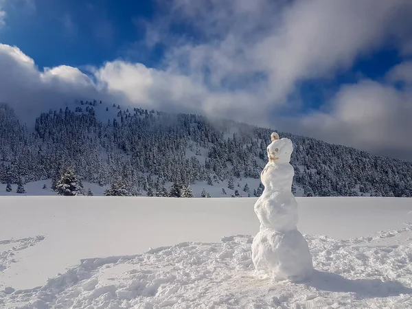 雪だるまとギリシャのカラブリタ山 有名な冬の目的地 — ストック写真
