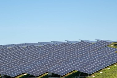 Hollanda 'da bir tepede güneş çiftliği
