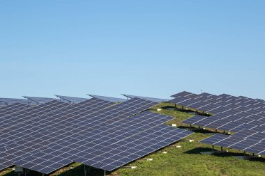 Hollanda 'da bir tepede güneş çiftliği