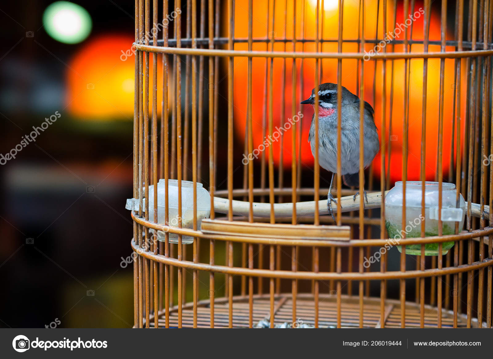 tiny bird cage