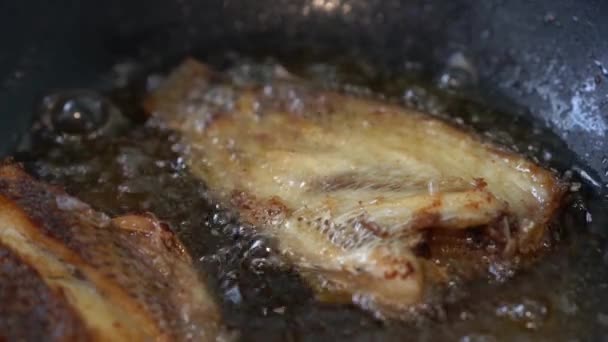 Cozinhar Peixe Frito Por Fritura Profunda Com Óleo Quente Panela — Vídeo de Stock