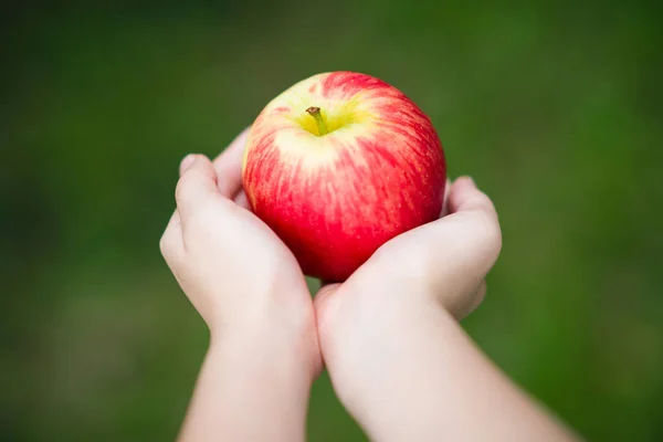 Concept Healthy Lifestyle Illustrated Hands Holding Apple — Stock Photo, Image